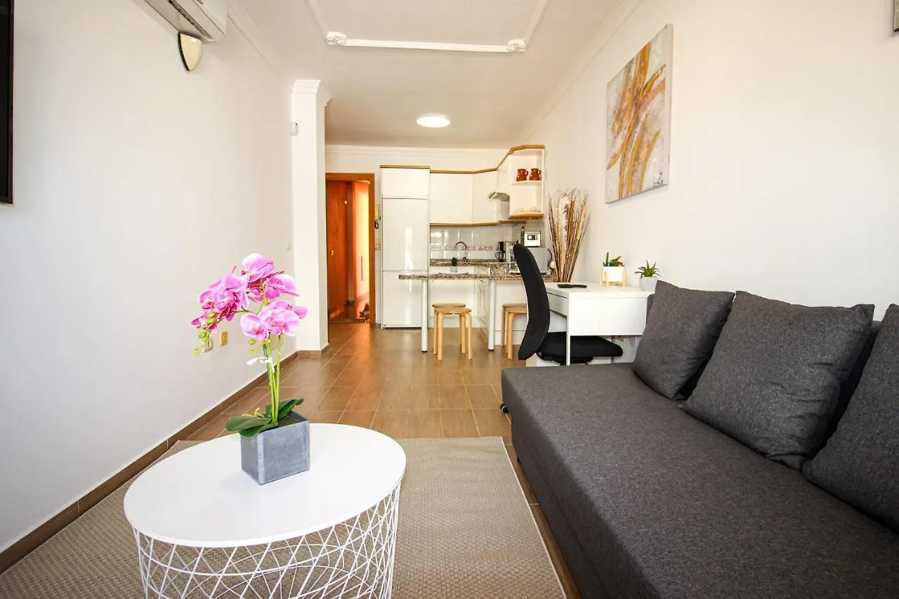 Beautiful Renovated Apartment With Air Conditioning Just Steps From The Sea In Playa San Juan